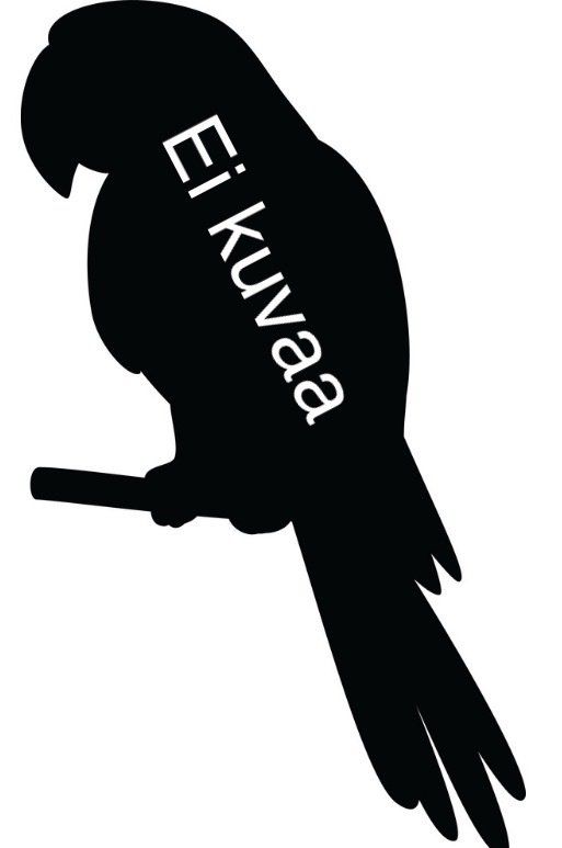 Rollulus rouloul harjapyy myydään poikasia