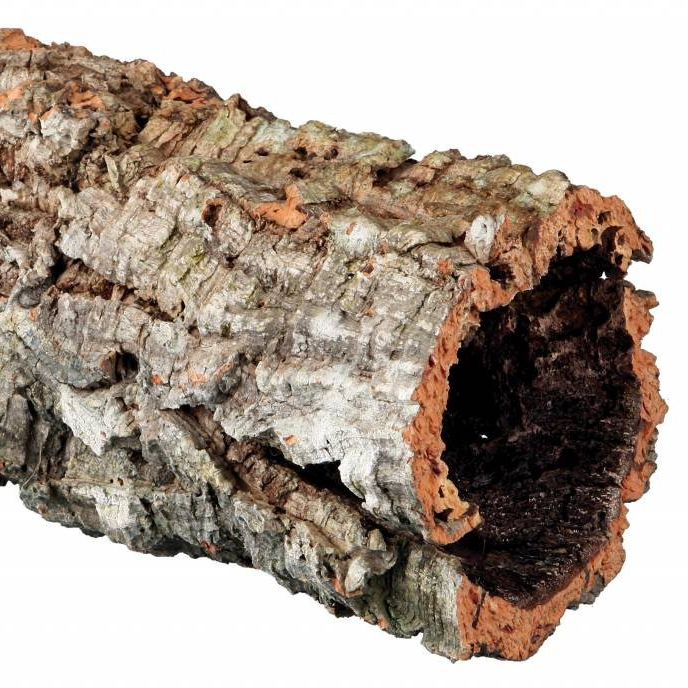 korkki tunneli korkkitunneli pori terraarion sisustaminen