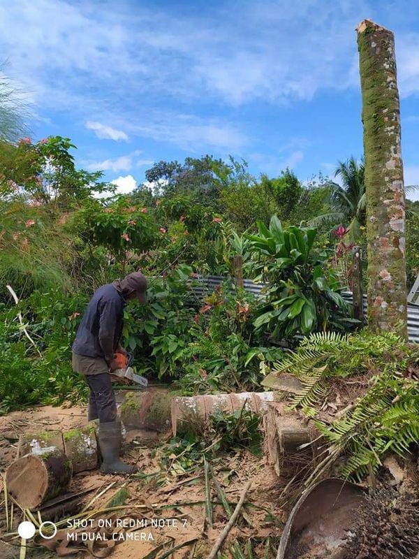 Entretien de bosquet de fleurs
