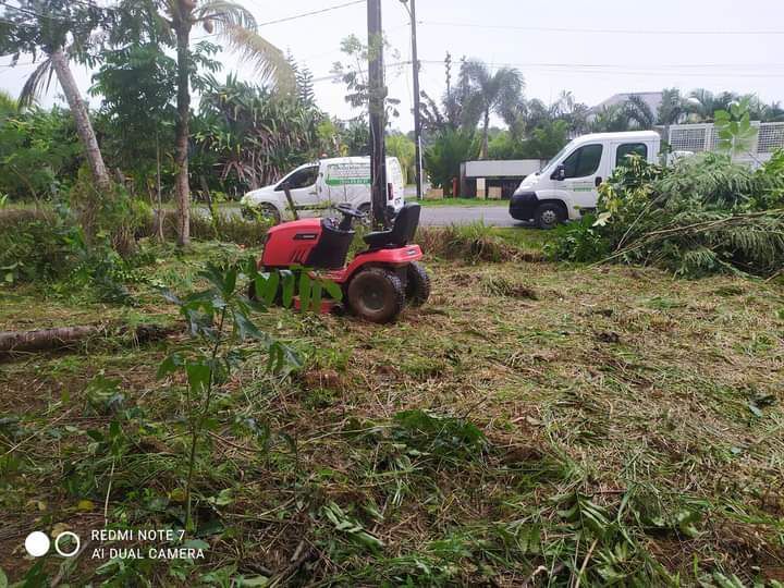 Débroussaillage de terrain