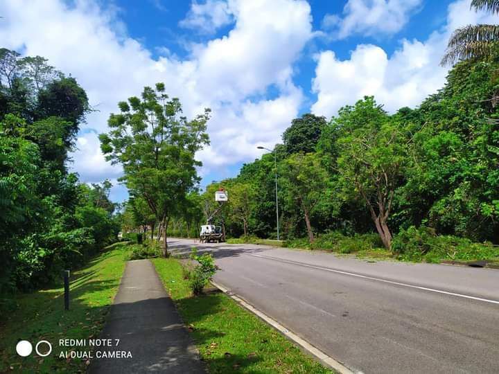 Route avec les abords entretenus