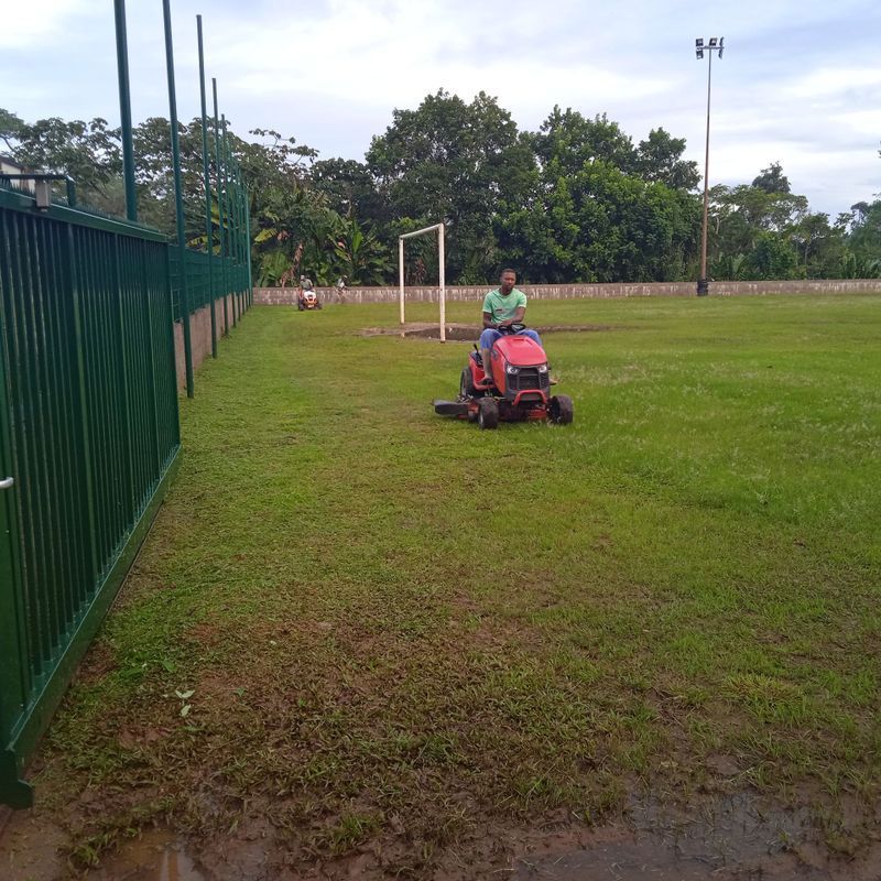 Tonte de la pelouse d'un stade