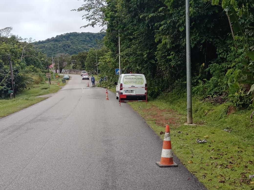 Tonte de la pelouse aux abords d'une route