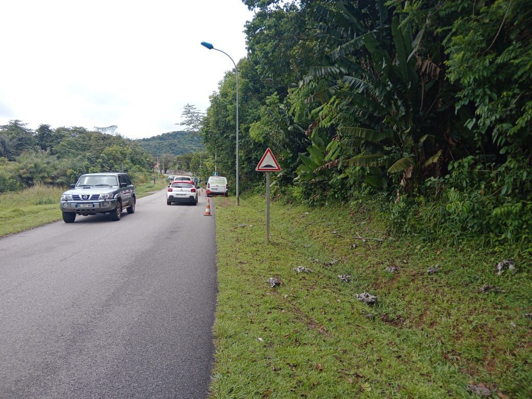 Entretien des abords d'une route