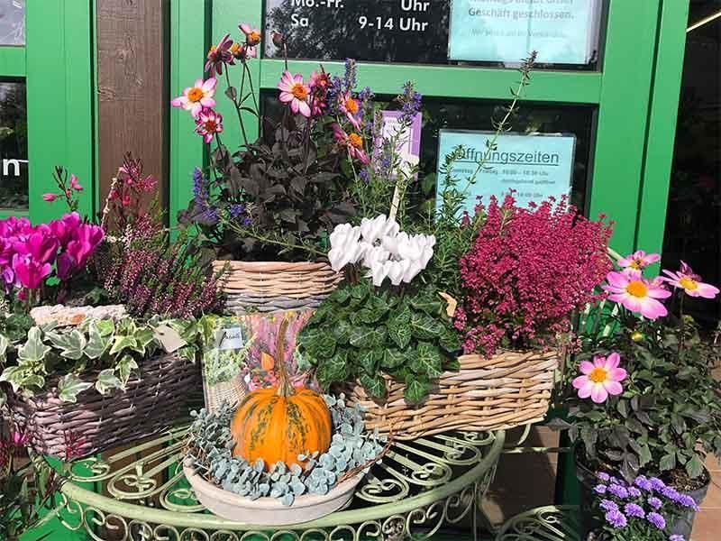 Ein Tisch mit Blumen und einem Kürbis darauf vor einer grünen Tür.