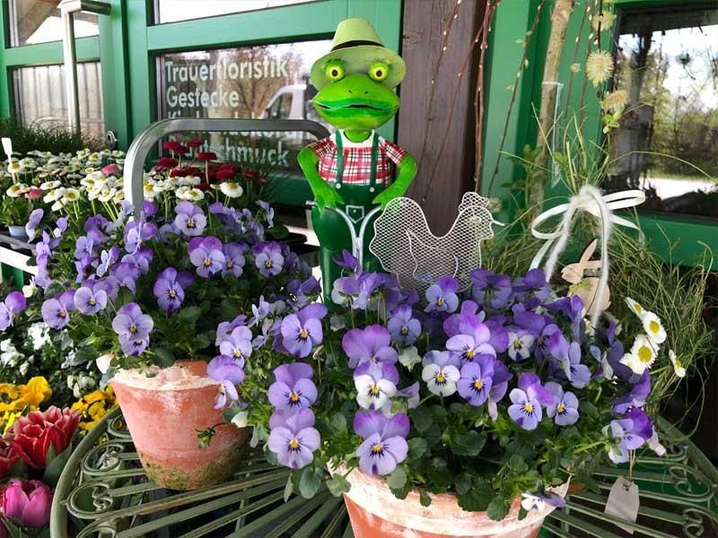 Eine Froschfigur sitzt in einem Topf mit lila Blumen.