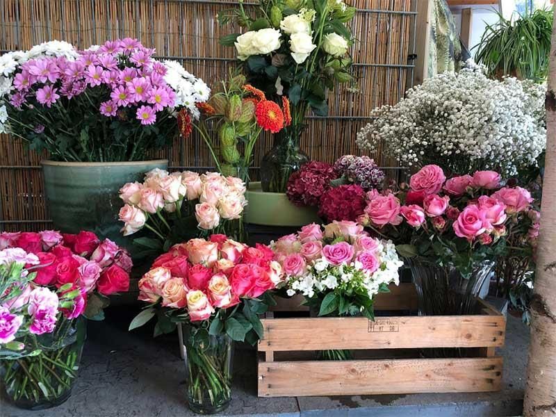 Ein Strauß Blumen in Vasen ist vor einem Zaun aufgereiht