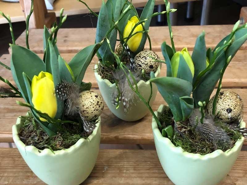 Drei Topfpflanzen mit gelben Blüten und Wachteleiern auf einem Holztisch