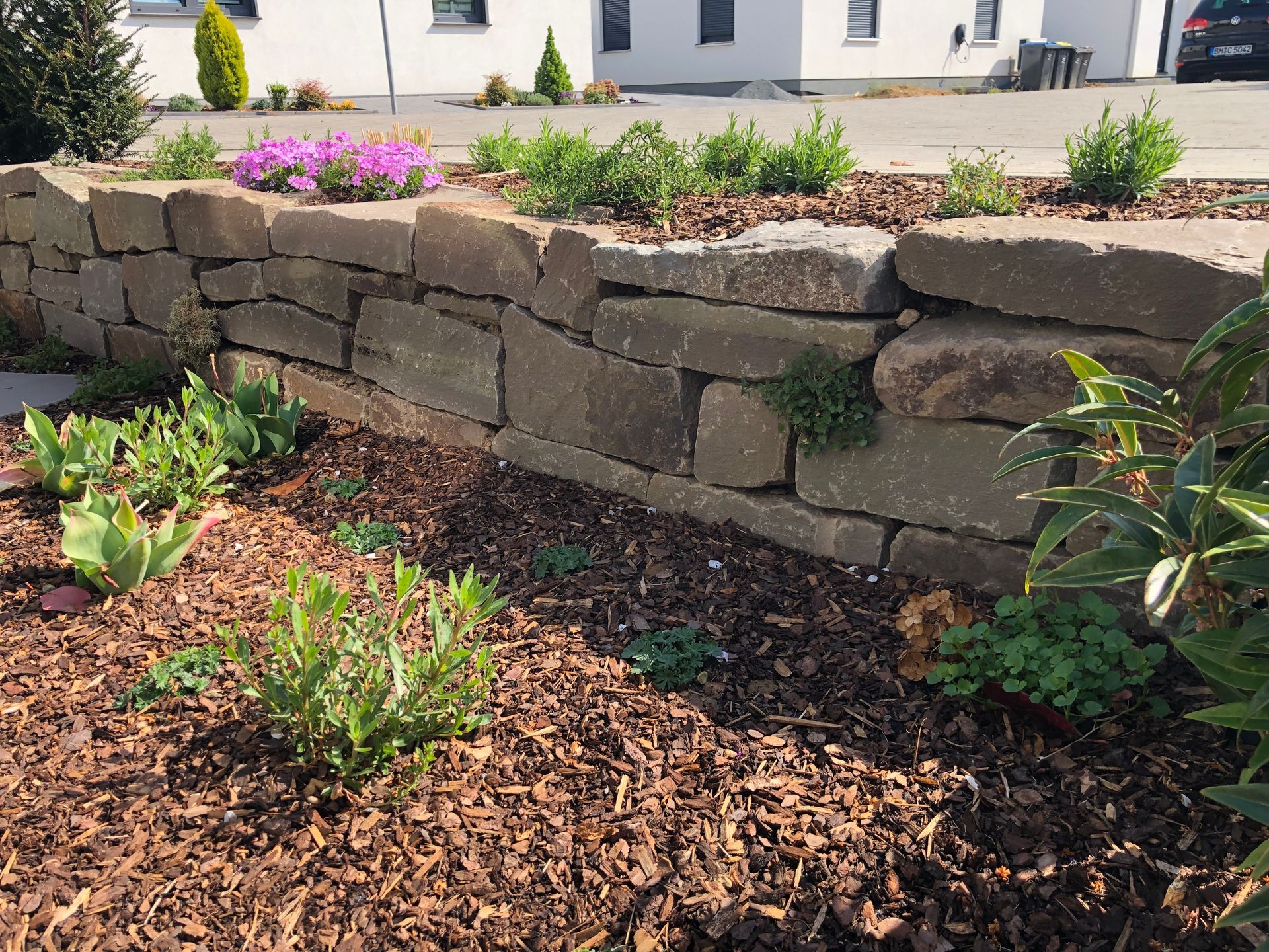 Eine Wiese mit Bäumen und Büschen vor einem Haus