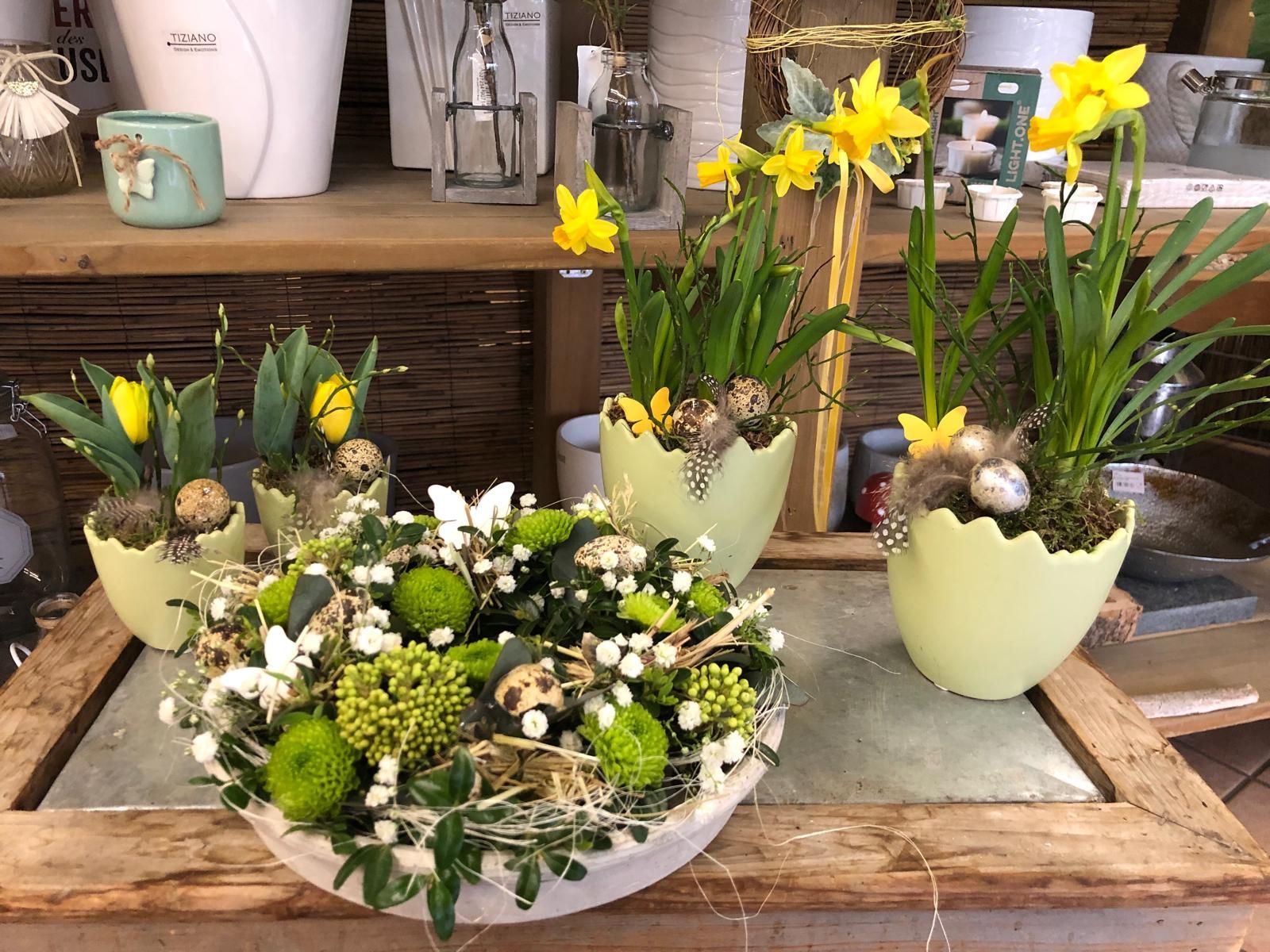 Auf dem Tisch stehen viele verschiedene Blumenarten in Töpfen.