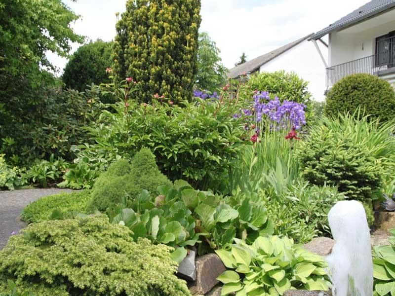 Ein Garten mit vielen Pflanzen und Blumen vor einem Haus