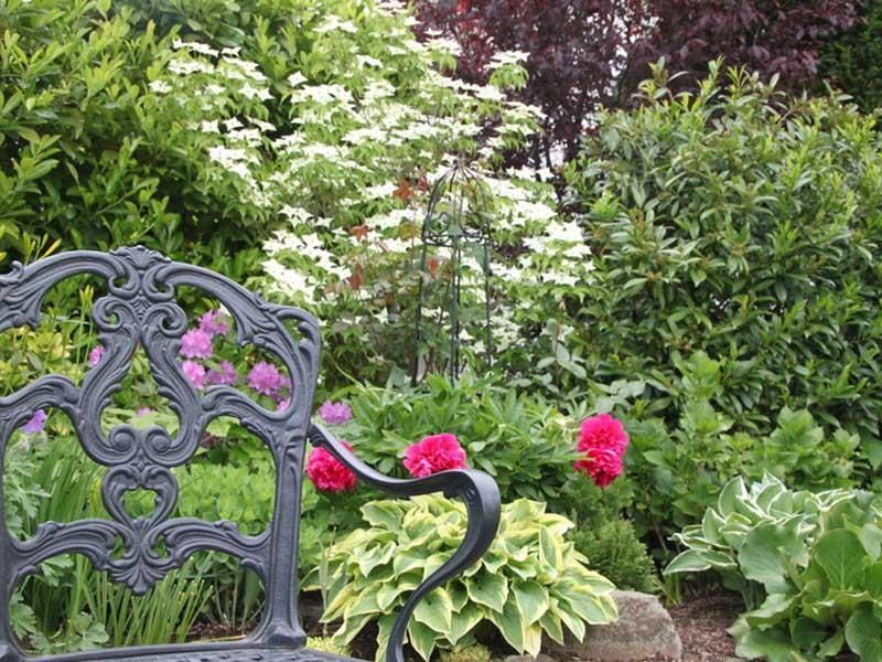 Eine schwarze Bank steht in einem Garten, umgeben von Blumen