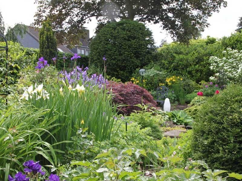 Ein Garten voller lila und weißer Blumen