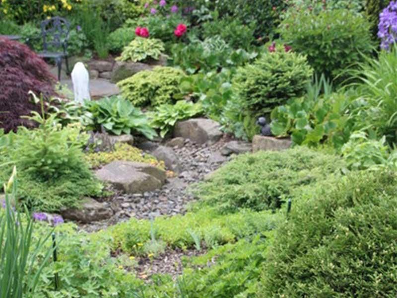 Ein Garten voller Pflanzen und Steine