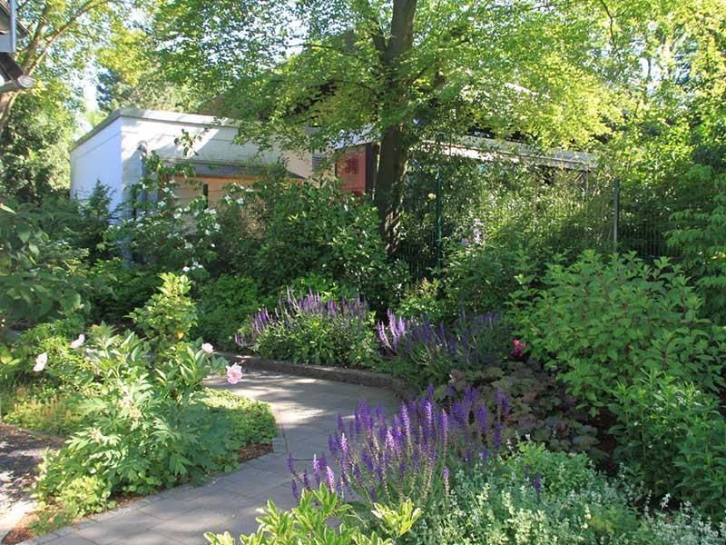 Ein Weg in einem Garten mit lila Blumen und Bäumen
