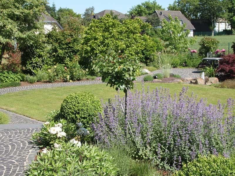 Ein üppiger grüner Garten mit lila Blumen und Bäumen