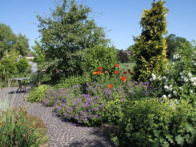 Ein Garten voller Blumen und Bäume