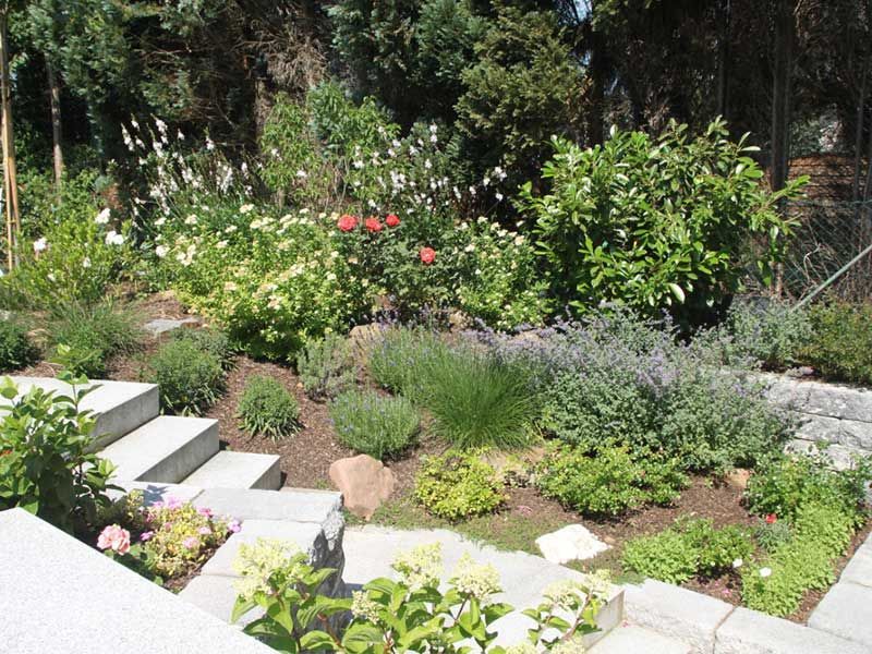 Ein Garten mit vielen Pflanzen und Treppen