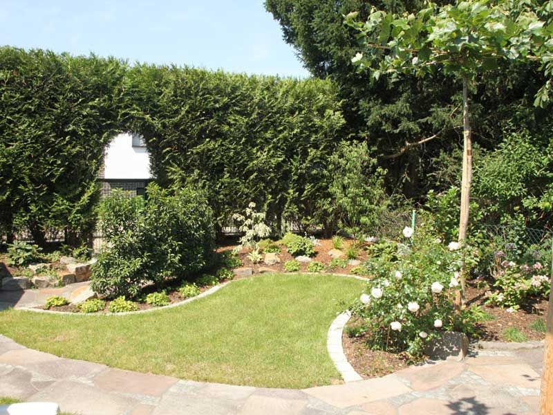 Ein üppiger grüner Garten mit Bäumen und Sträuchern