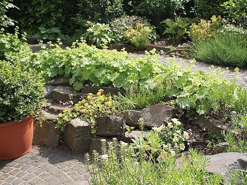 Ein Garten voller Pflanzen und Steine