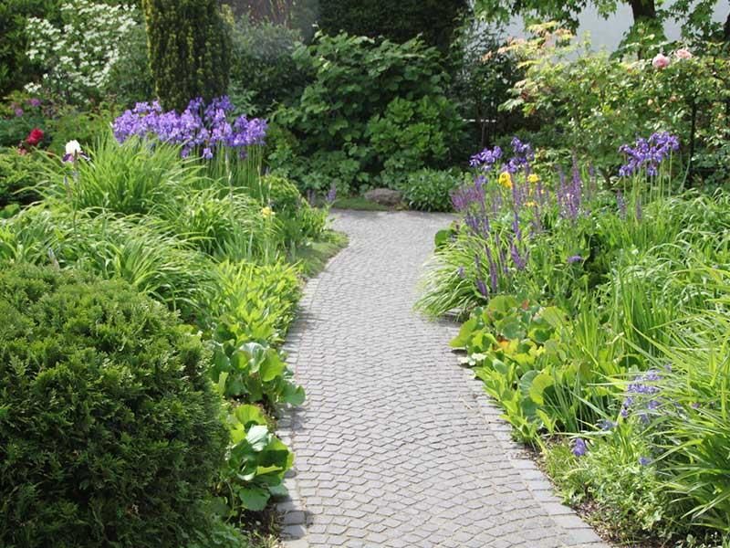 Ein Kopfsteinpflasterweg in einem Garten, umgeben von violetten und gelben Blumen