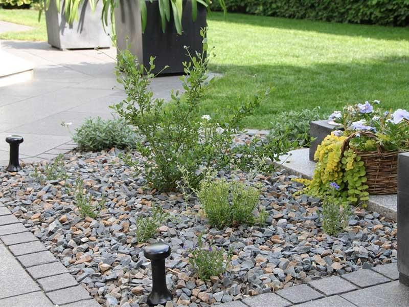 Ein Garten mit Steinen und Pflanzen und einem Korb mit Blumen