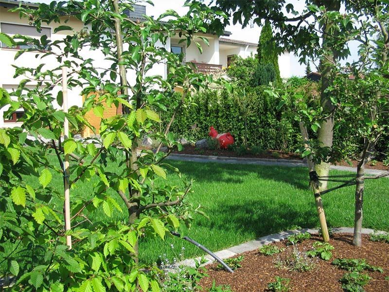 Eine Wiese mit Bäumen und Büschen vor einem Haus