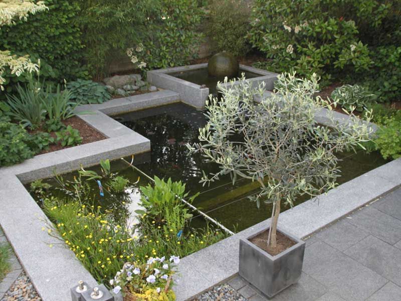 Ein Teich mit einem Baum in der Mitte