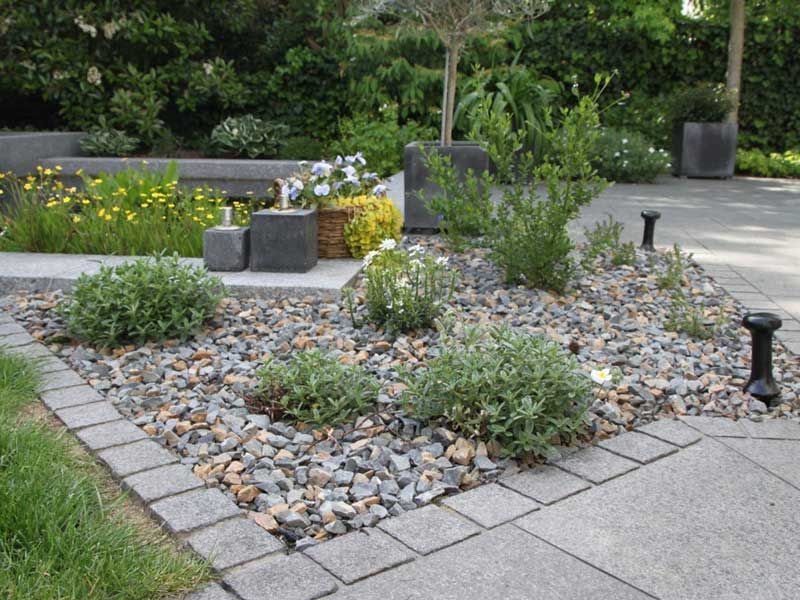 Ein Garten voller Steine ​​und Pflanzen