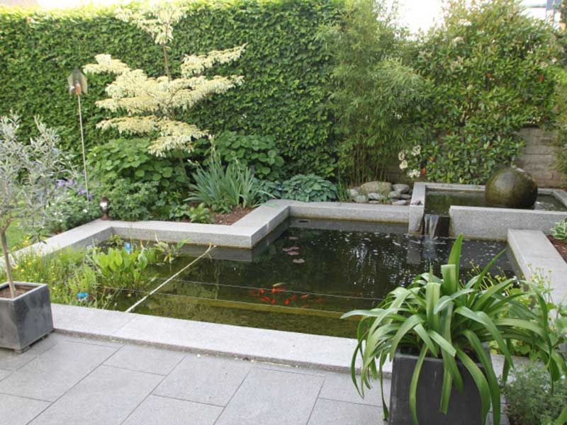 Ein Garten mit einem Teich, umgeben von Pflanzen und Bäumen