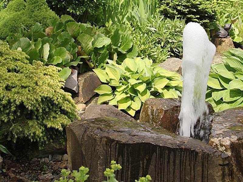 Ein Brunnen ist von Pflanzen und Felsen in einem Garten umgeben