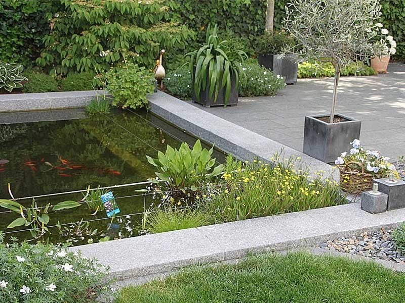 Ein Teich, umgeben von Pflanzen und Blumen in einem Garten