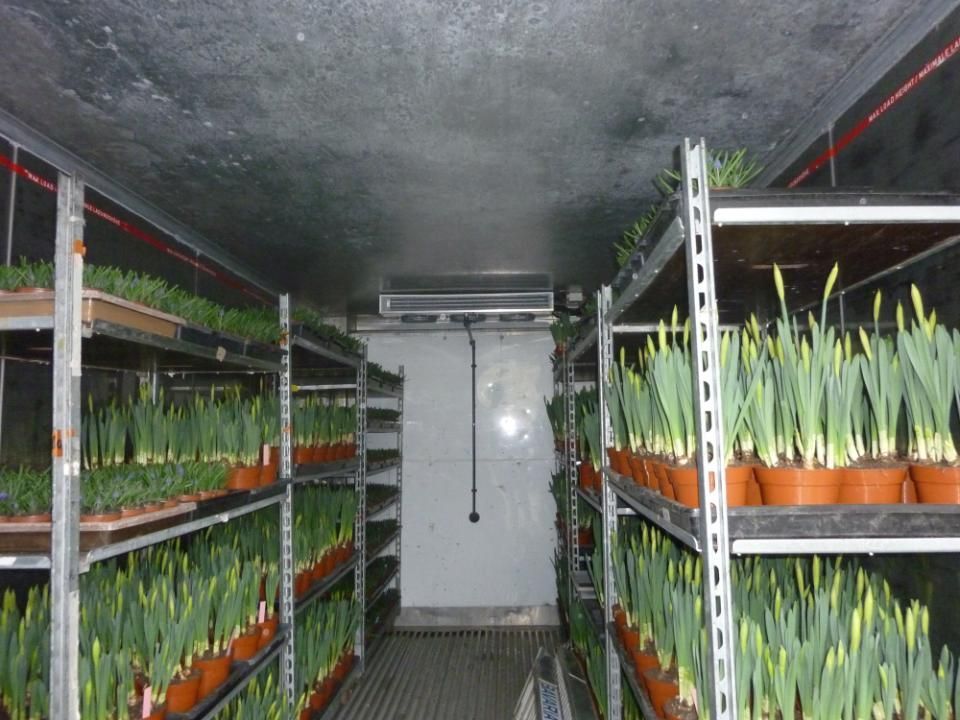 A. Schleiss AG
