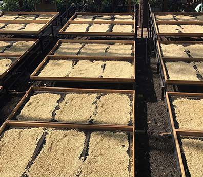 Plusieurs carré de terre divisé en trois partie.