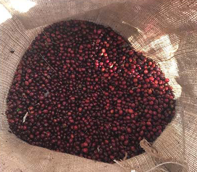 Un grand tas de fruits dans un sac en toile de lin.