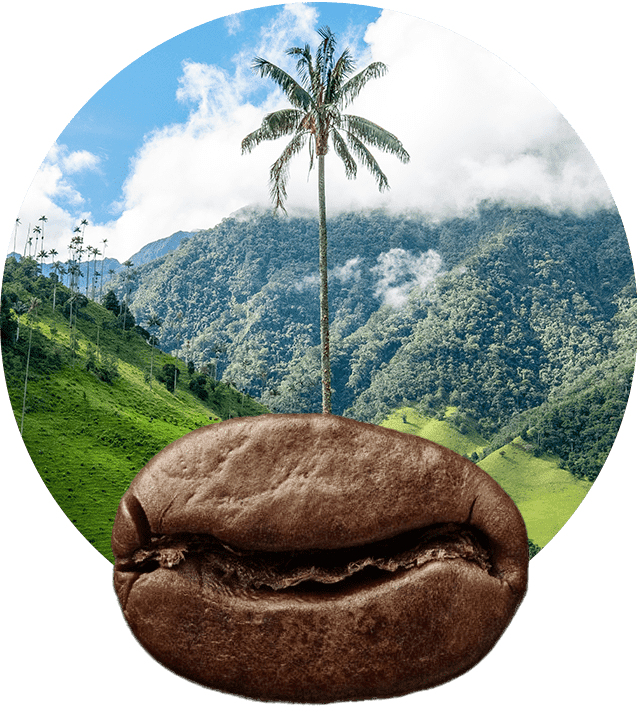 Paysage de montagne en Colombie.