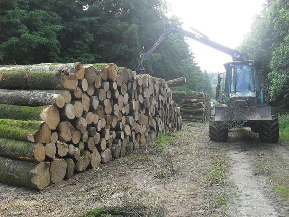 Porteur pour transport de troncs d'arbres destinés à la vente