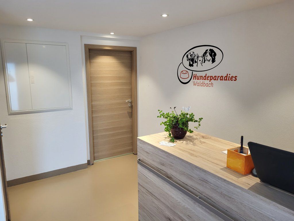 hundezentrum-waldbach