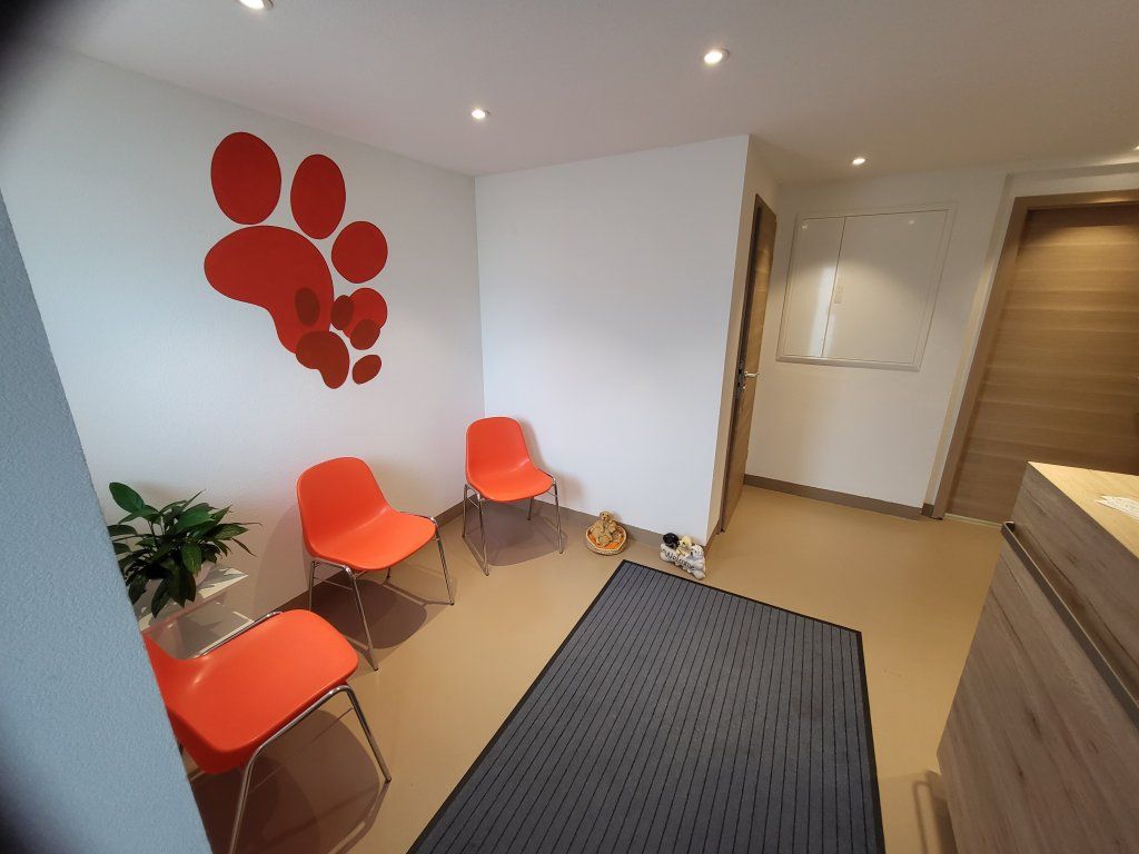 hundezentrum-waldbach