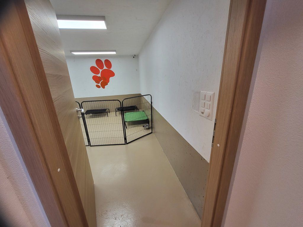 hundezentrum-waldbach