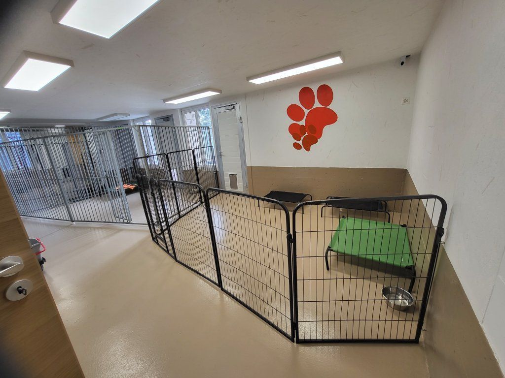 hundezentrum-waldbach