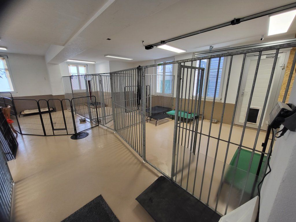 hundezentrum-waldbach