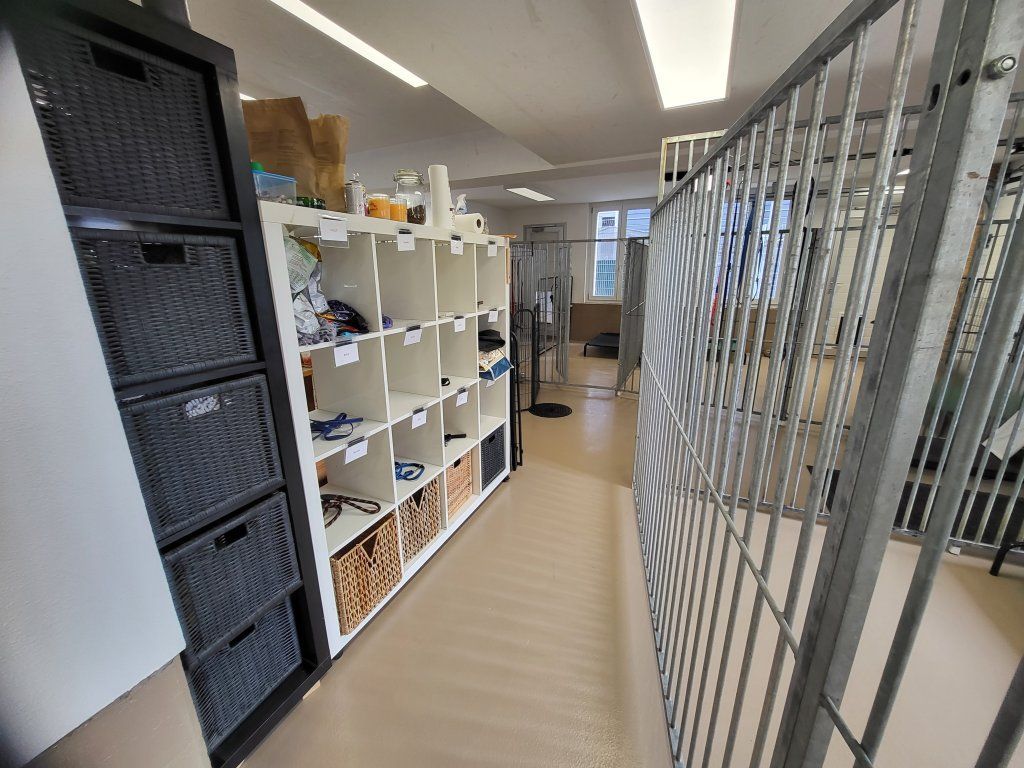 hundezentrum-waldbach