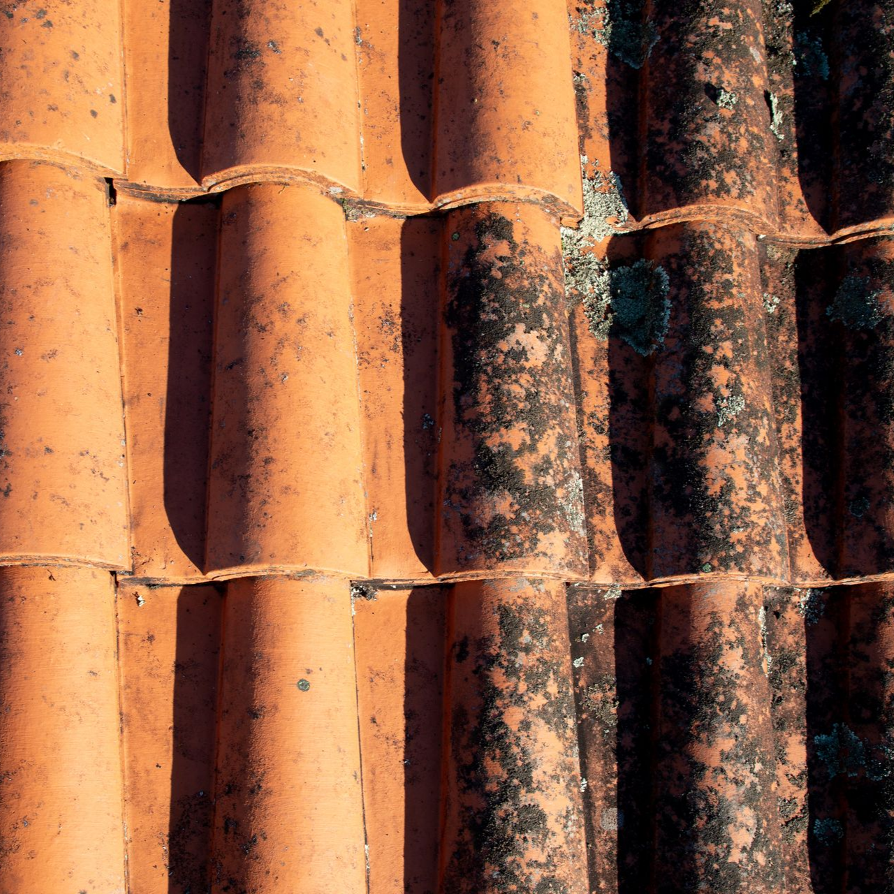 Gros plan sur des tuiles de toit en terre cuite usées par le temps, présentant des taches sombres d'algues et de mousse.