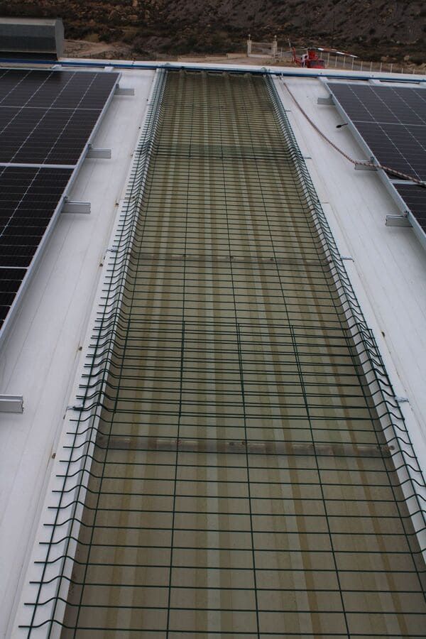 Un techo con muchos paneles solares.