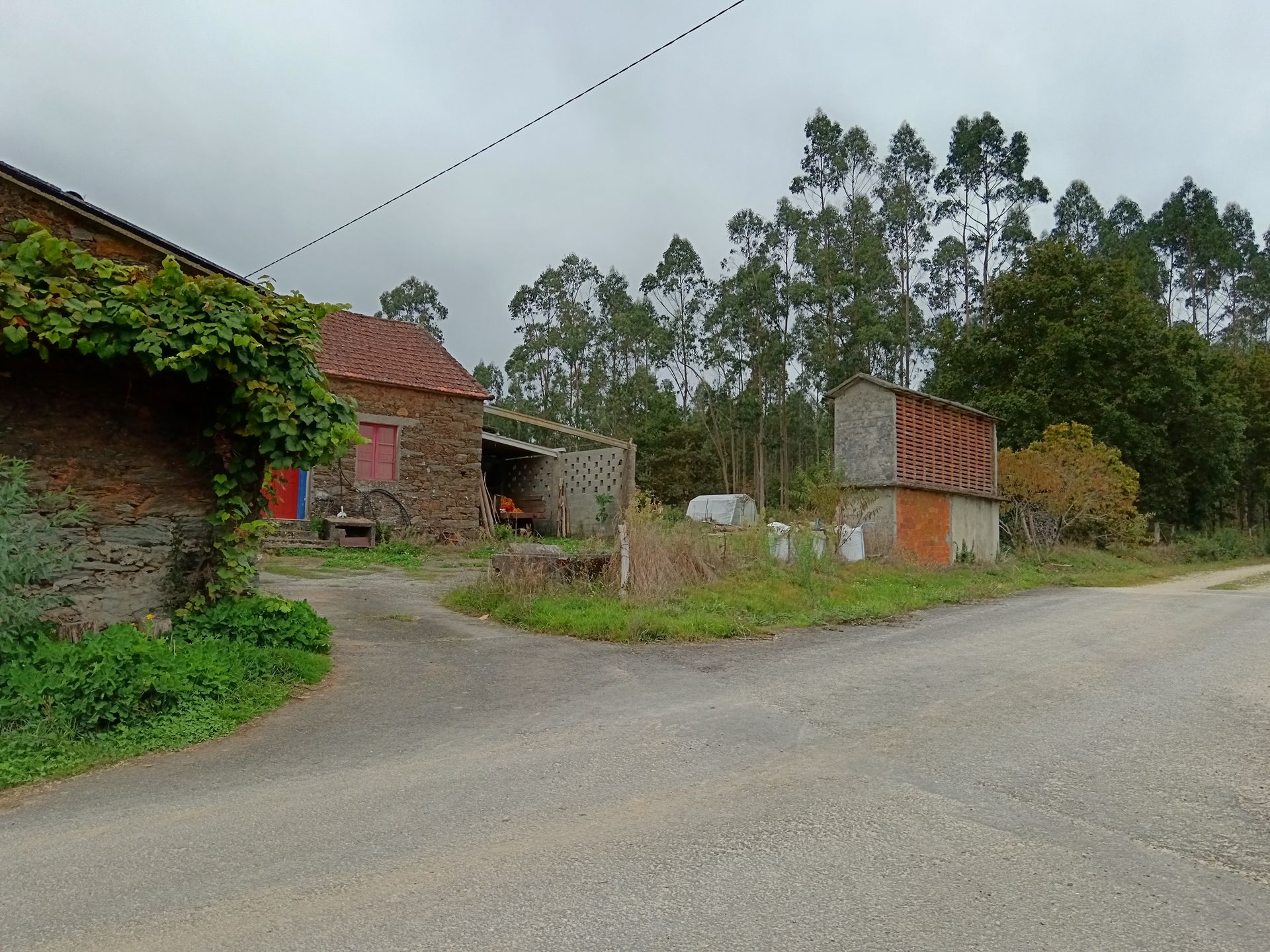 Basia Ingeniería Agraria