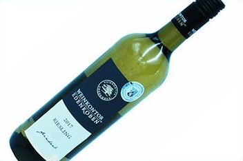 Flasche „Weinkontor Edenkoben“ Riesling, schräg vor weißem Hintergrund. Schwarzes Etikett, grüne Flüssigkeit.