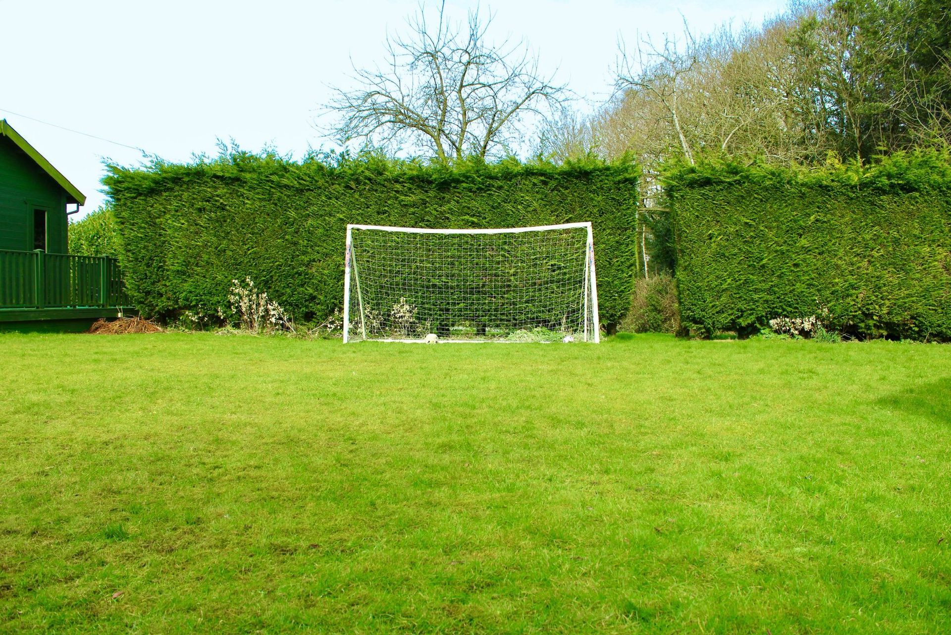 Soccer goal in a green yard with hedges and a small building in the background. Sunny day.