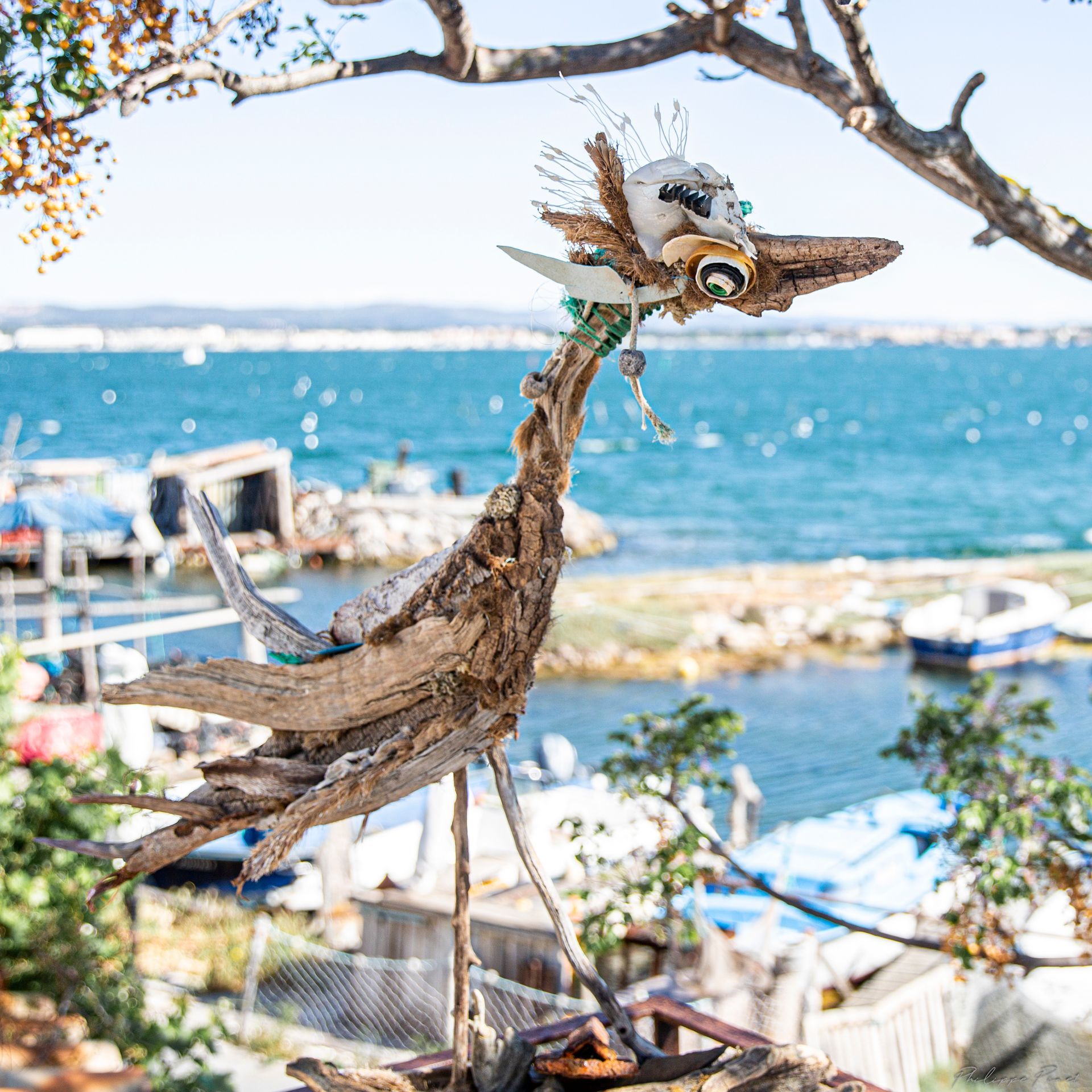 Bois flotté sculpté