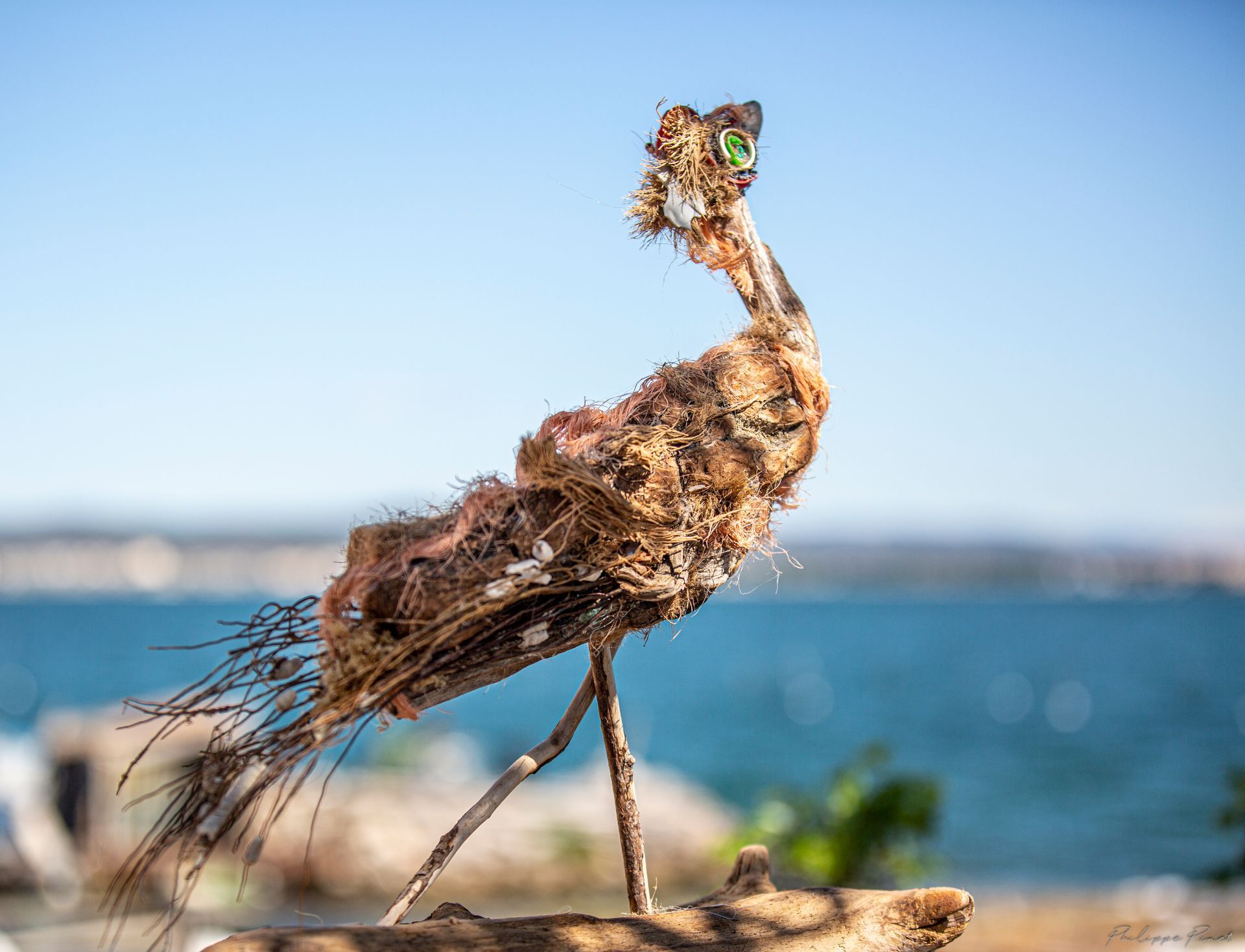 Oiseau sculpté en bois